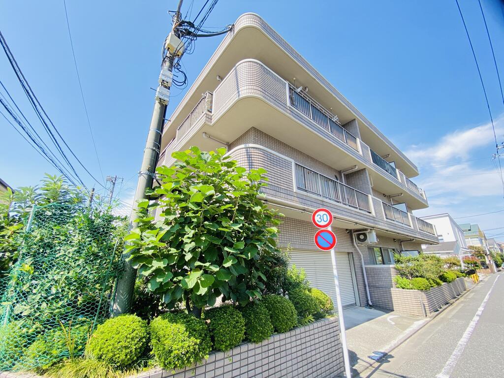 ヴェルドミール