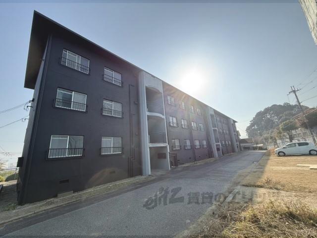 木の岡レジーナ