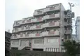 S1 MOTOHARA