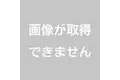 パダンハイム