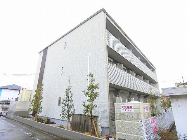 椛コート