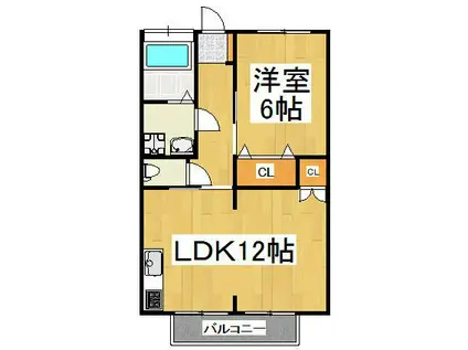 コーポ新井(1LDK/1階)の間取り写真