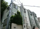 モンステラ戸塚