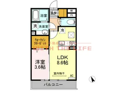 プリムローズ(1LDK/1階)の間取り写真