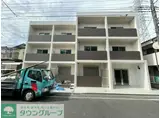 グレイシャスハシモト