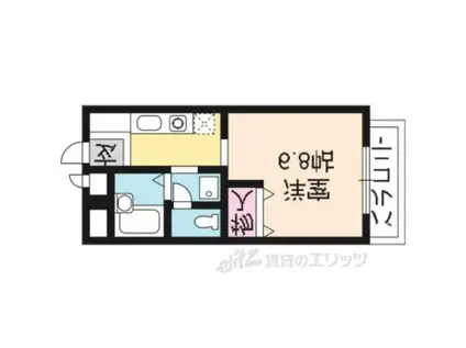 ハイツ・ヴィオレ紫明(1K/1階)の間取り写真