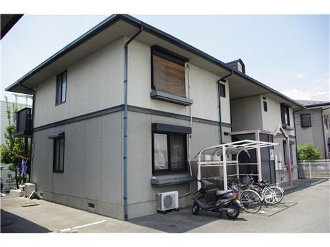 アネスタ21 A
