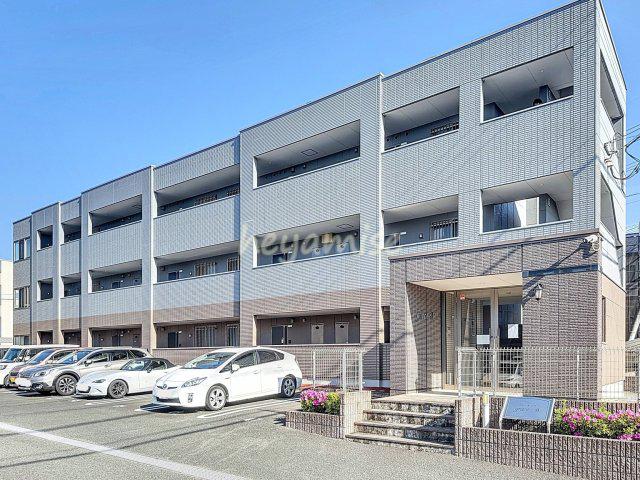 GRACEーB