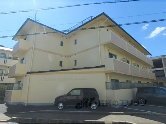 チェリーブロッサム嵯峨野