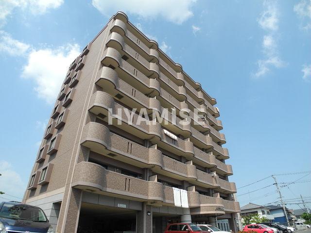 ANNEX-31VI