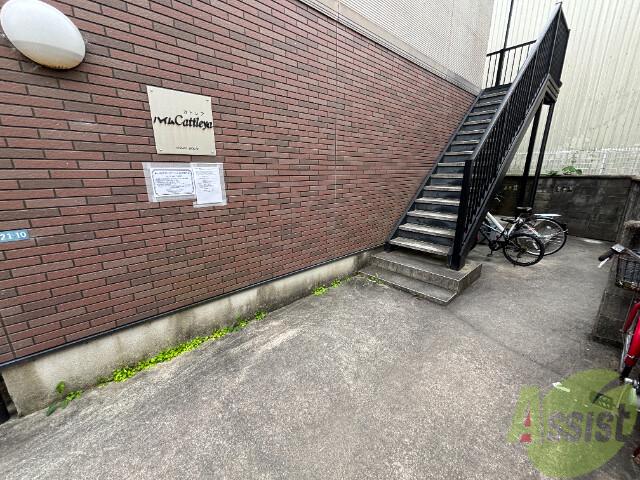 ハイムカトレア