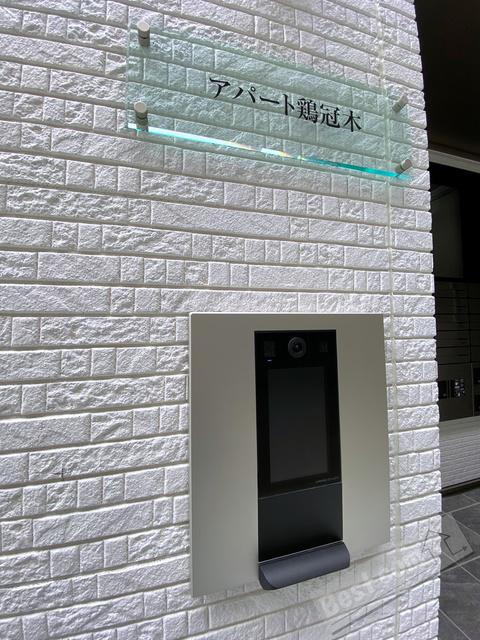 アパート鶏冠木