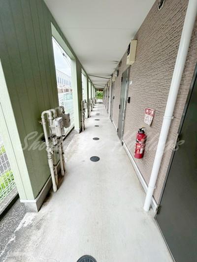 ネオ・ドミール