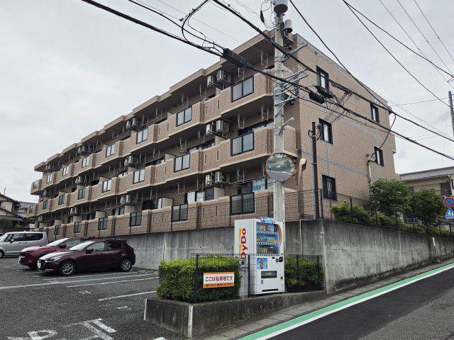 グリーングラスN