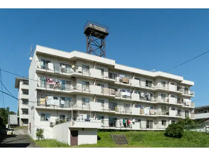 フラワーハイツ小松島(3LDK/4階)の外観写真