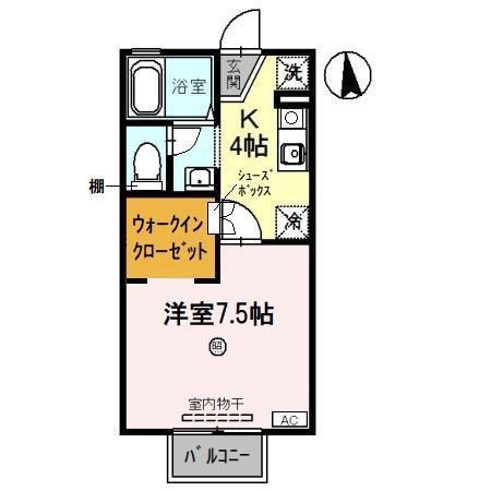 セレステオーリ(1K/1階)の間取り写真