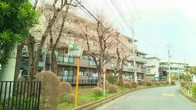 リヴェールシモ