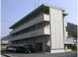 山水グリーンハイツ
