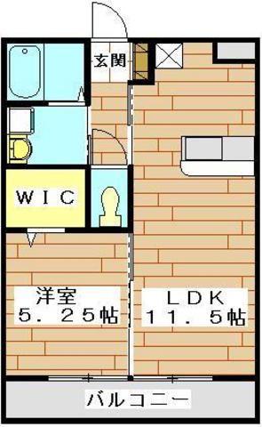 グレイス(1LDK/1階)の間取り写真