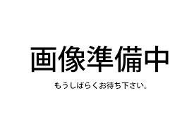BELLE LEAD ROYALE(1LDK/1階)