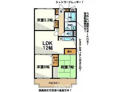 コーボック国領(3LDK/2階)の間取り写真