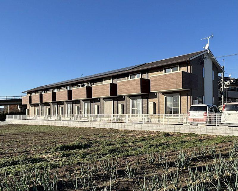 FOLIAR SAN 