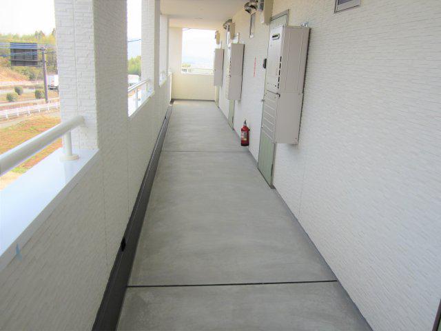 レグルスR