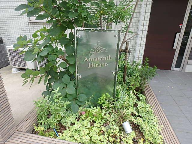 AMARANTHHIRANO