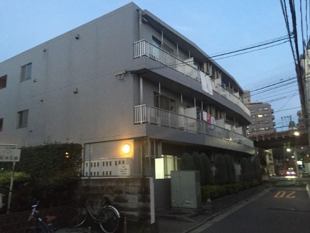エバーグリーン