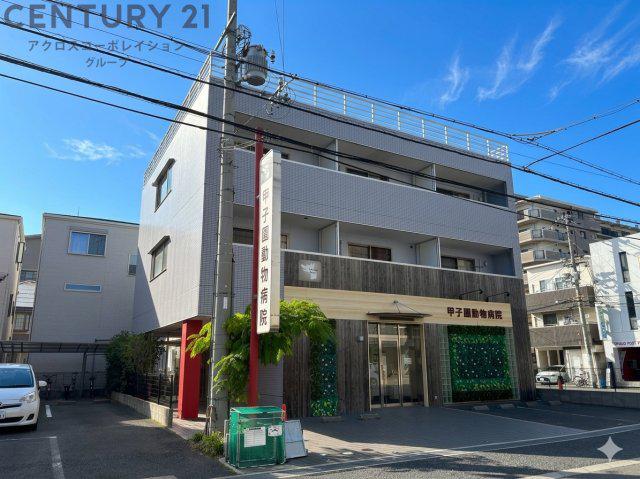 シュシュ甲子園
