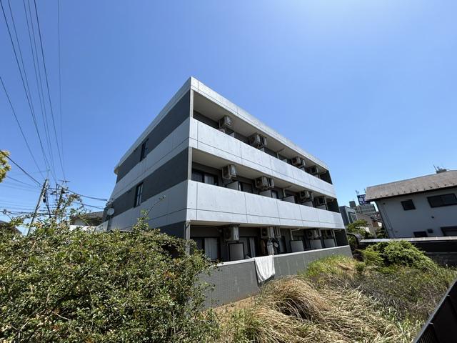 MARECAGE柏
