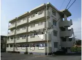 BSマンション