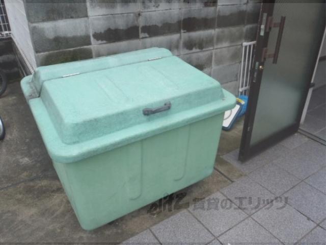 ルネ紫野