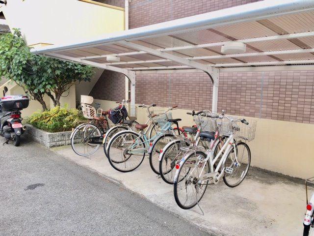 サンセベリア大津