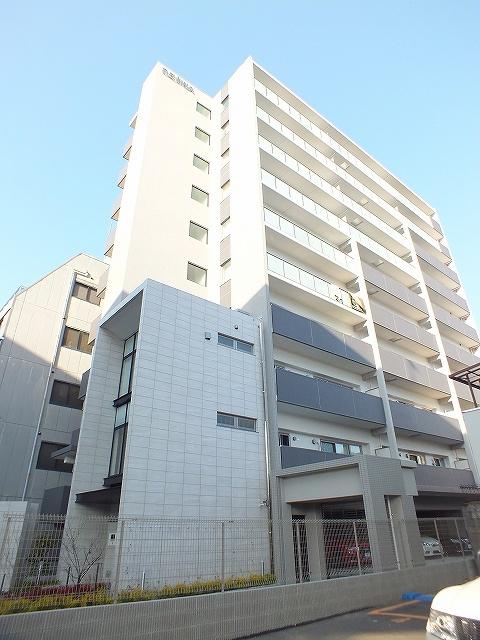 ハナミズキ福島