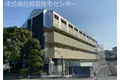 カーサー川口