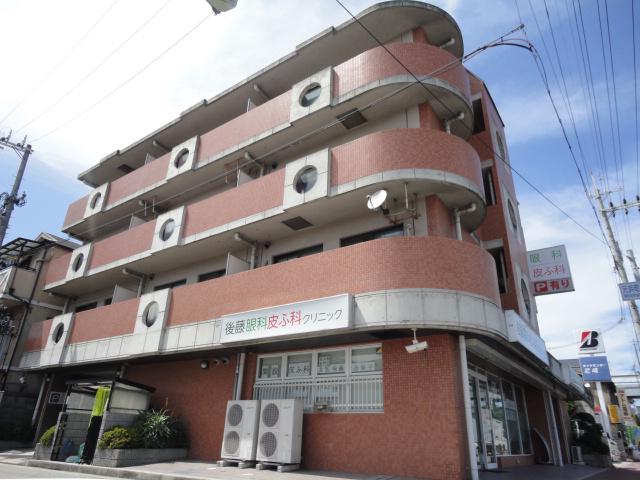 グレースサンシャイン