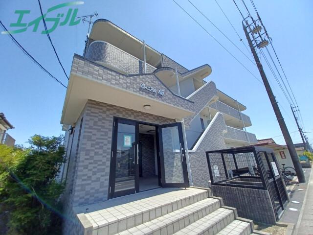 ミレニアム楠