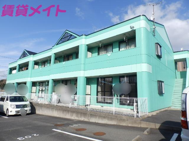 GREEN HILL SUGI