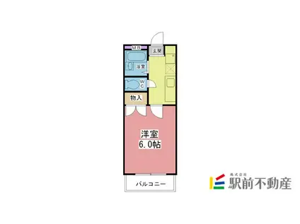 野田ハイツPII(1K/1階)の間取り写真