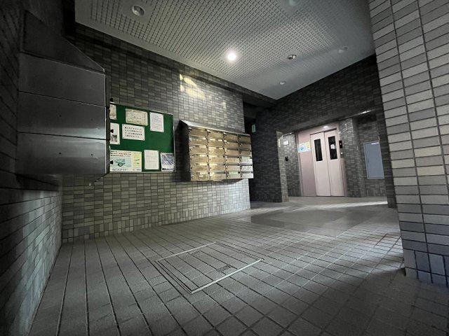 ドミールカネコ