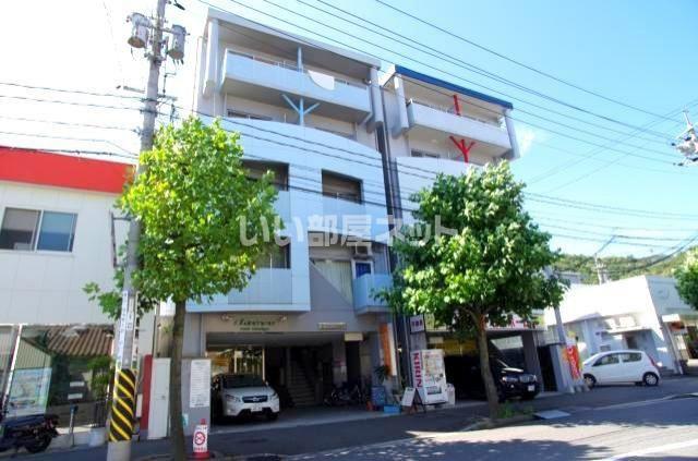 Y`Z B.L.D緑井