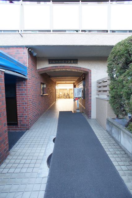 ブルーハイツ多摩川