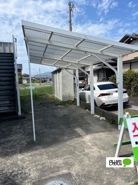エバーグリーン