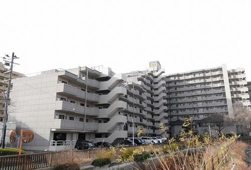 ライオンズマンション山手町(3LDK/1階)