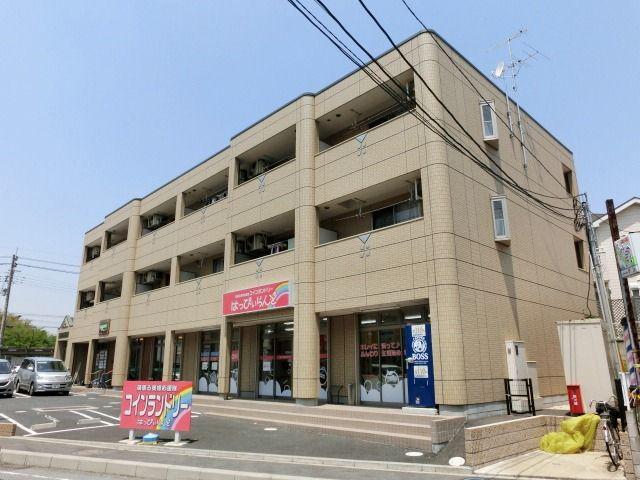 ウィルマルカ