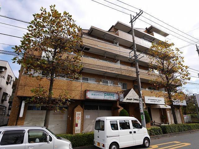 シャトルブラウンA