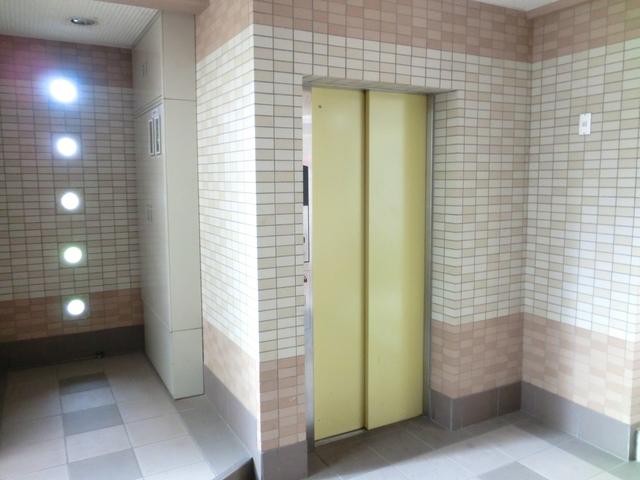ファレノプシス