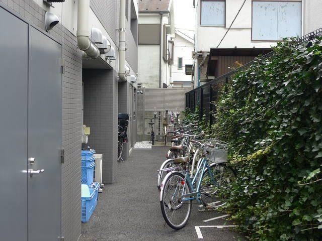 フェリーセ