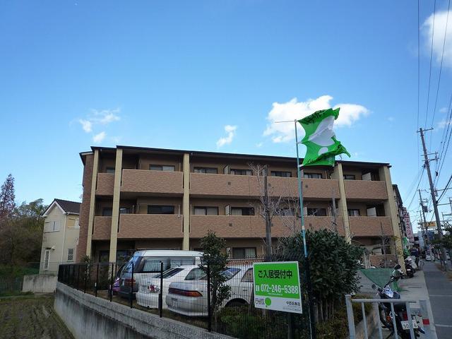 オリーブ白鷺